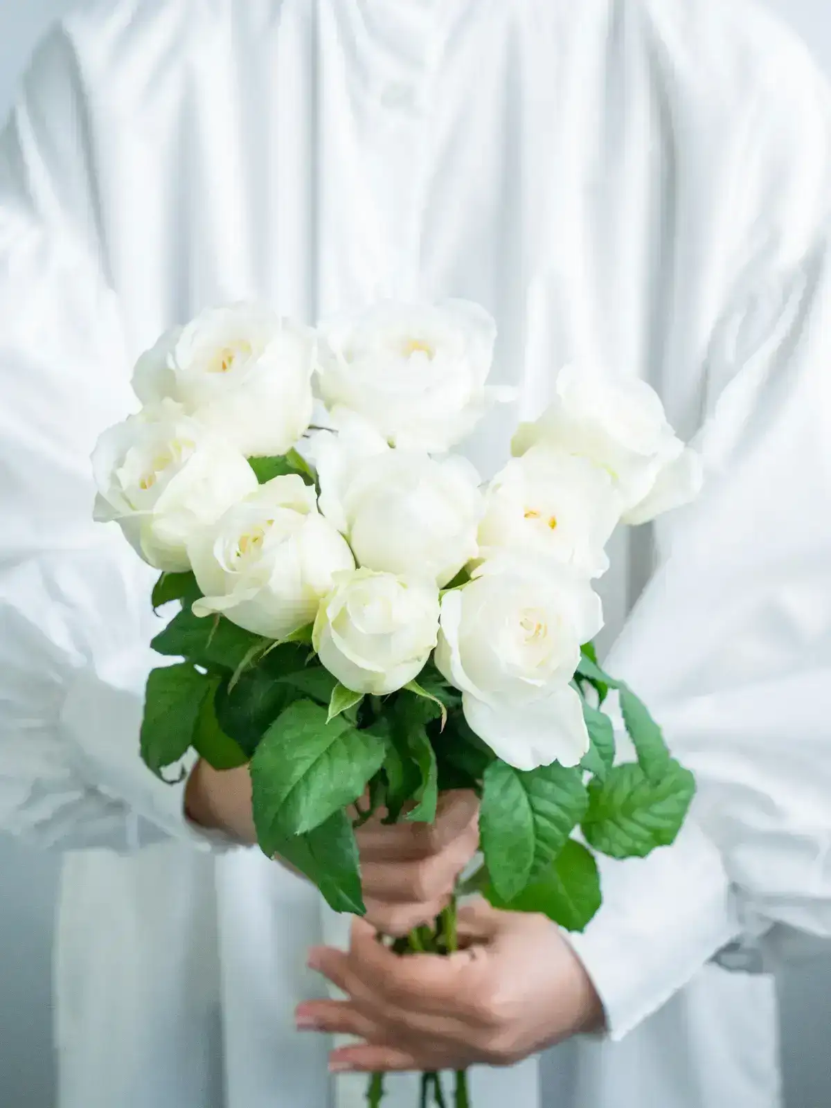 バラ（白）おまかせ品種｜花の仕入れを簡単に。花材の卸通販｜ハナイチ