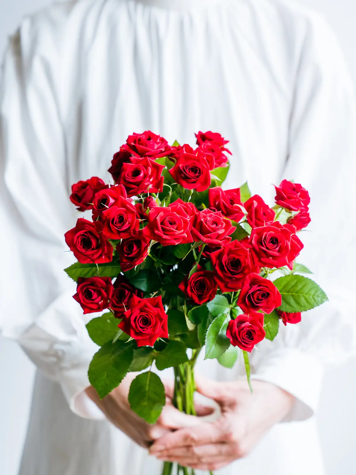 SPバラ（赤）おまかせ品種｜ハナイチ｜花と植物、資材の仕入れサイト