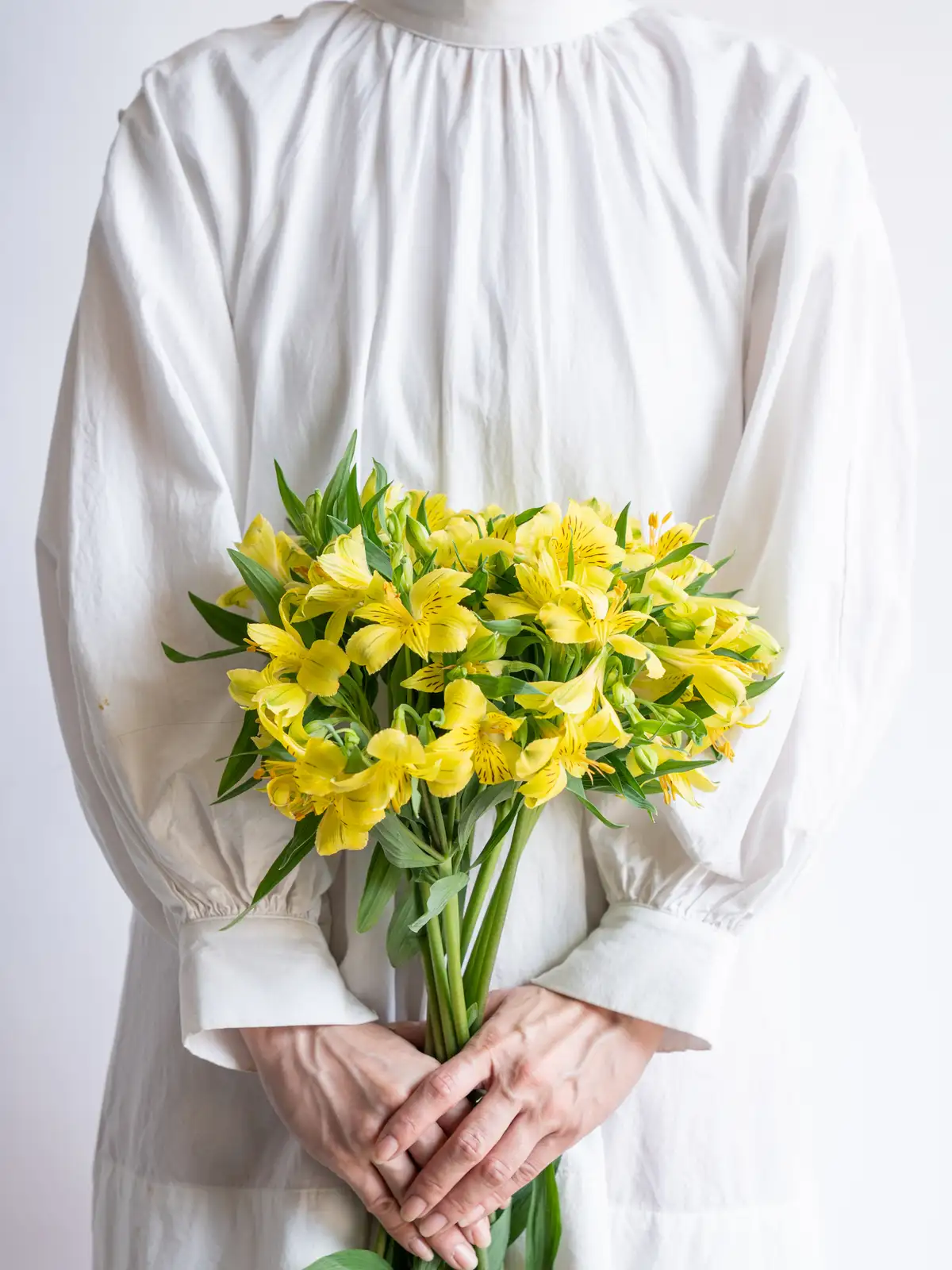 アルストロメリア（黄）レモン｜ハナイチ｜花と植物、資材の仕入れサイト