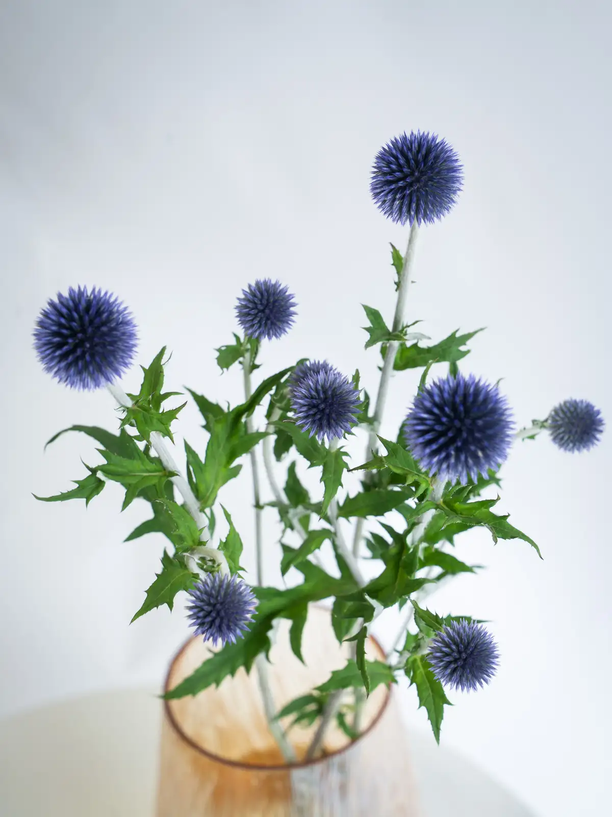 夏☀︎SALE！アンティーク紫陽花のsummerリース　ルリタマアザミ 夏☀︎SALE！アンティーク紫陽花のsummerリース ルリタマアザミ