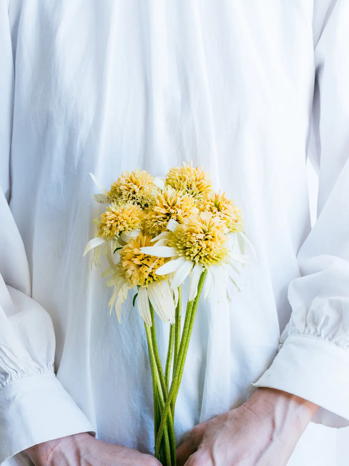 846ce913-9052-42da-b732-