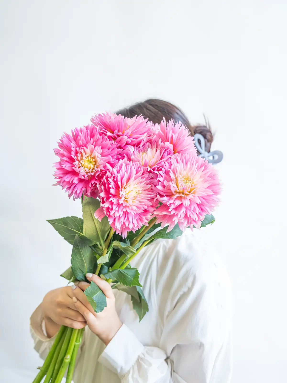 ダリア特集｜ハナイチ｜花と植物、資材の仕入れサイト