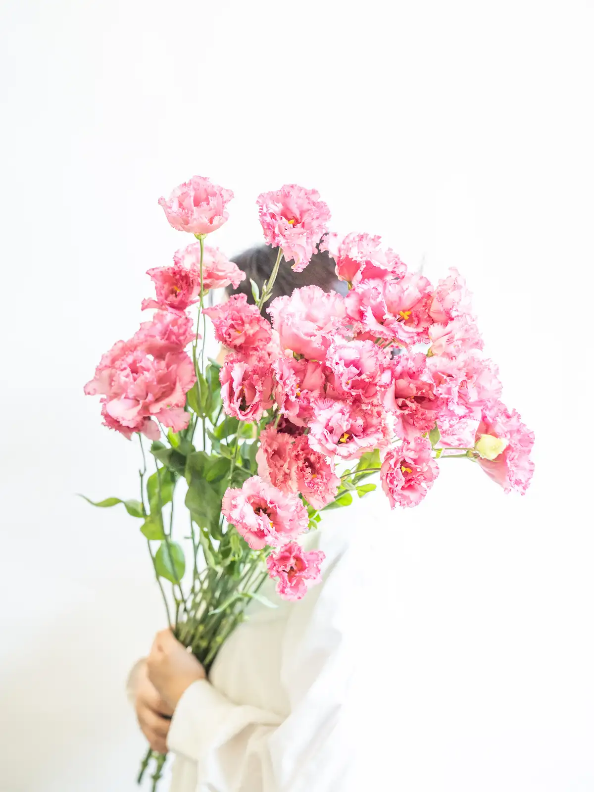 ［小林ヒロシ］トルコキキョウ詰合せ 小林ヒロシ様専用］トルコキキョウ詰合せ