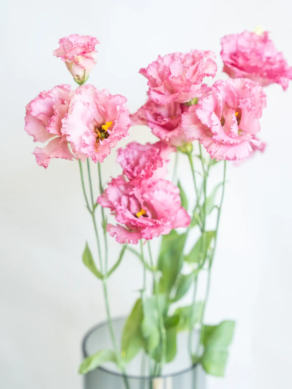 ［小林ヒロシ］トルコキキョウ詰合せ 小林ヒロシ様専用］トルコキキョウ詰合せ