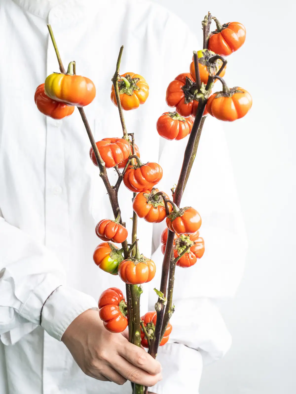 専用＊Halloween＊ソラナムパンプキン秋色ドライフラワースワッグ