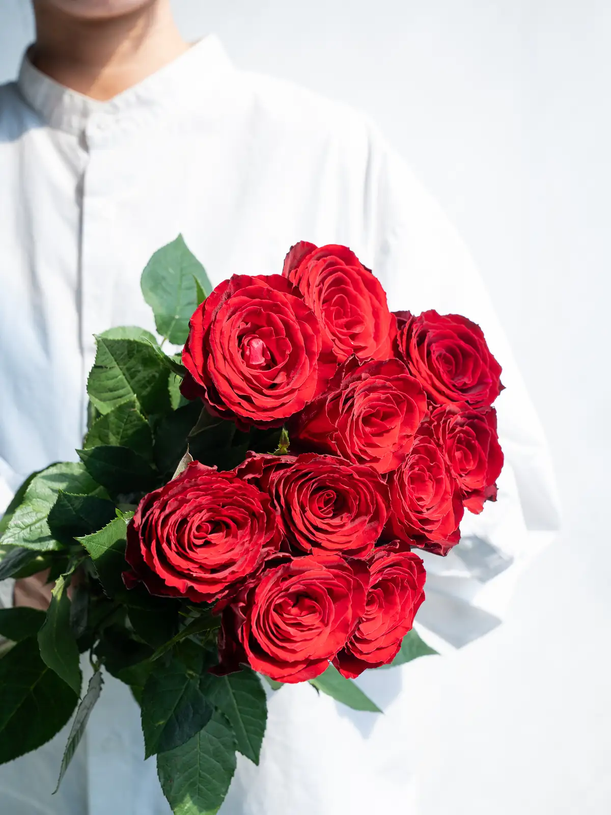 バラ（赤）マダムレッド｜ハナイチ｜花と植物、資材の仕入れサイト