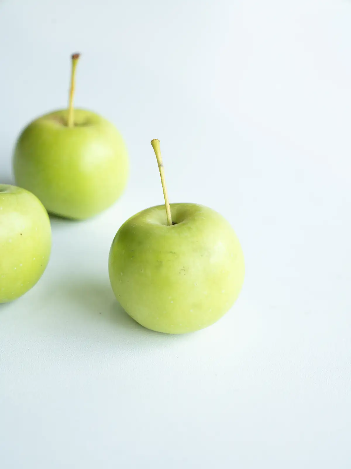 姫りんご（グリーン）｜ハナイチ｜花と植物、資材の仕入れサイト