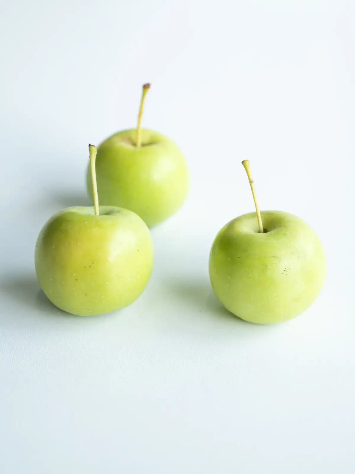 姫りんご（グリーン）｜ハナイチ｜花と植物、資材の仕入れサイト