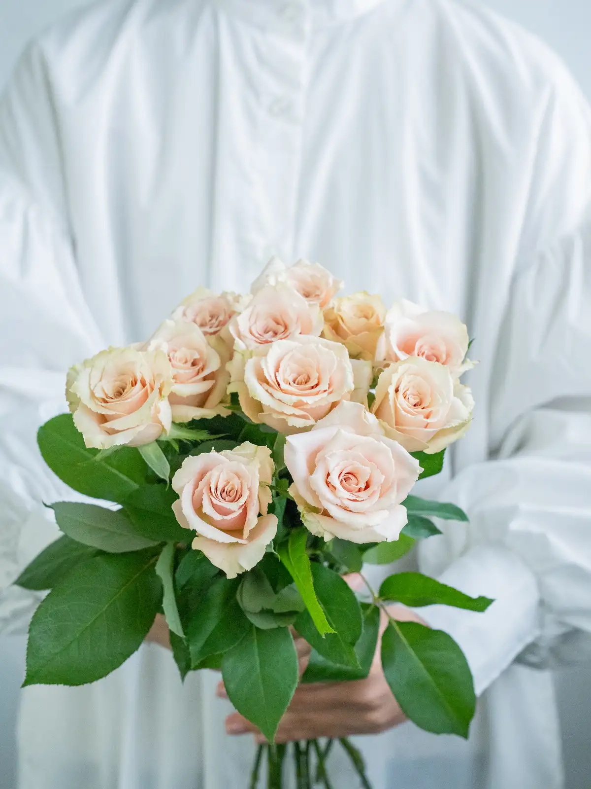 Goldrose Bouquet クリーム色のバラ Goldrose Bouquet クリーム色のバラ Goldrose Bouquet クリーム色の