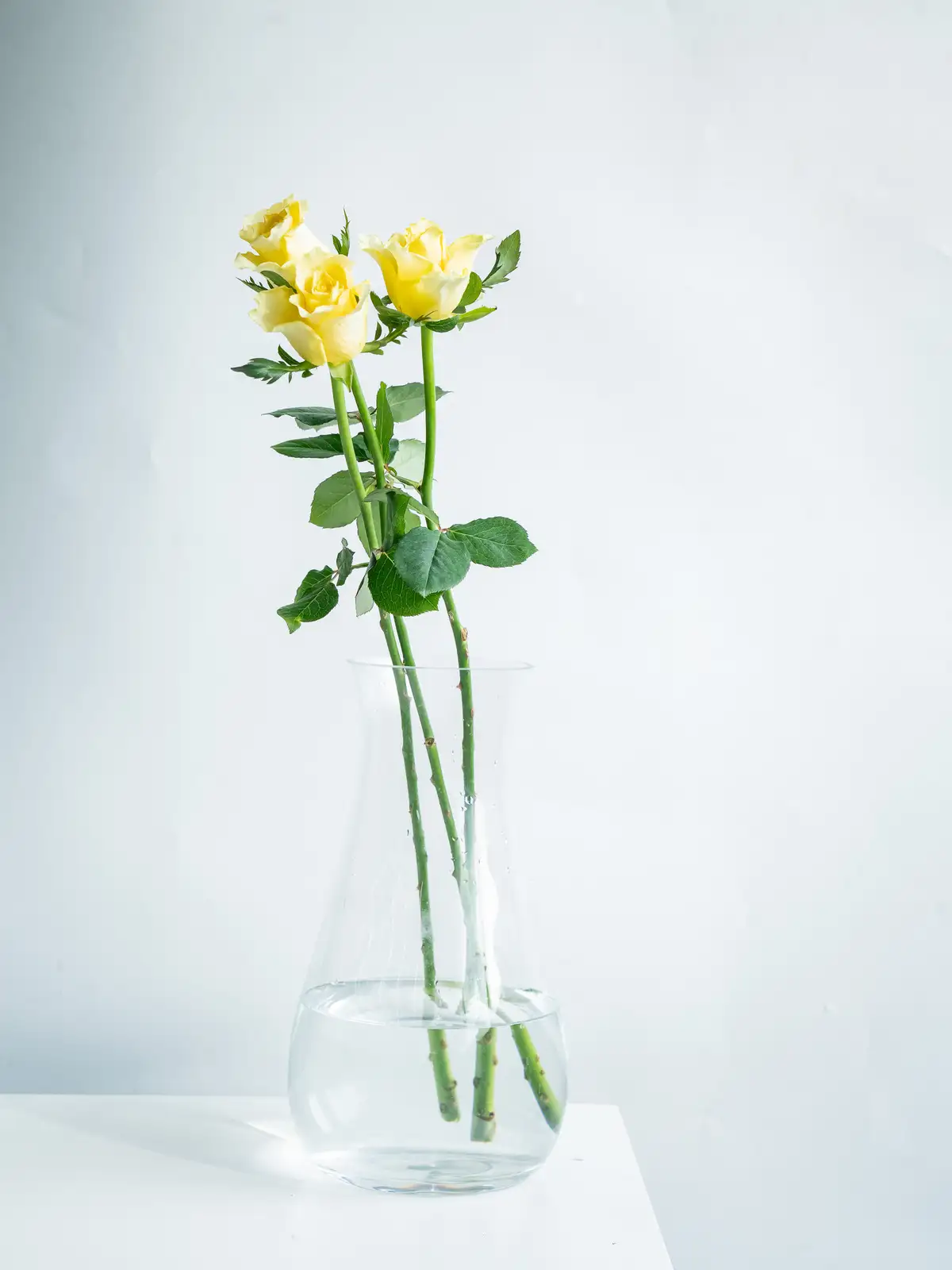 ばちバラ売り30点 SPバラ （オレンジ） おまかせ品種｜ハナイチ｜花と