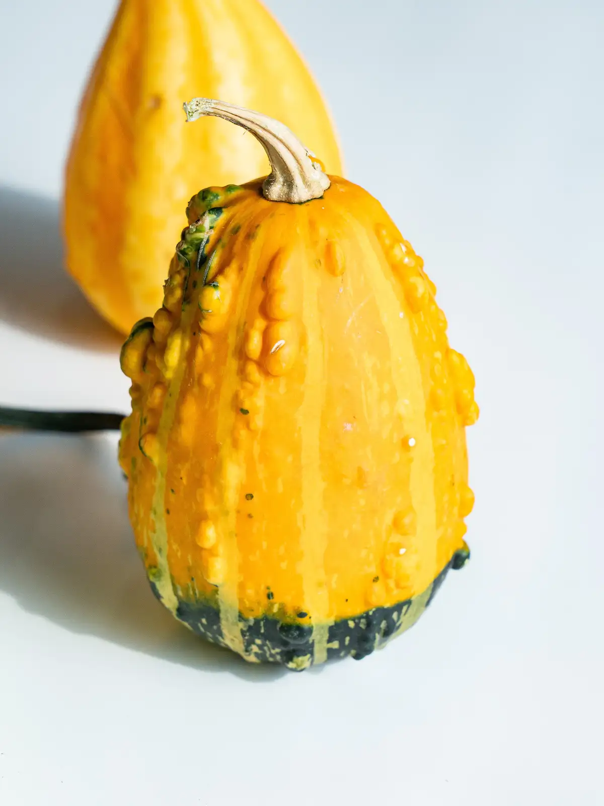 かぼちゃのちゃちゃ Amazon.co.jp: かぼちゃ 種 【 オモチャカボチャ 】 種子 小袋