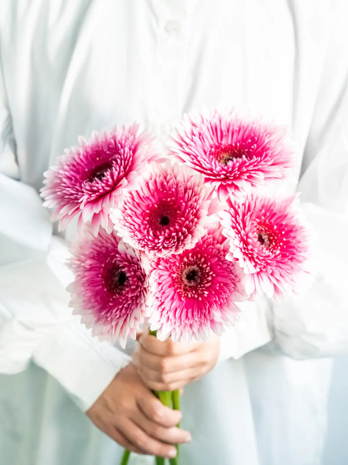 新商品一覧｜ハナイチ｜花と植物、資材の仕入れサイト