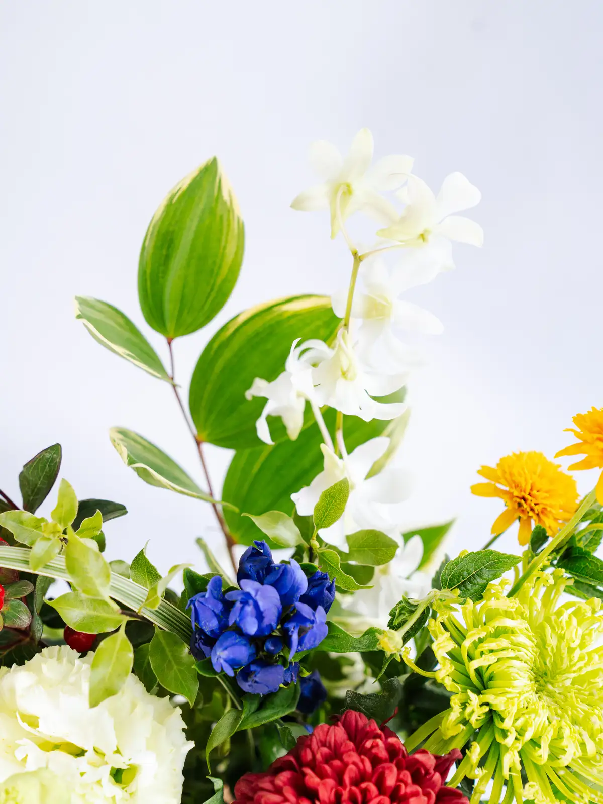 お盆の花材セット｜花の仕入れを簡単に。花材の卸通販｜ハナイチ
