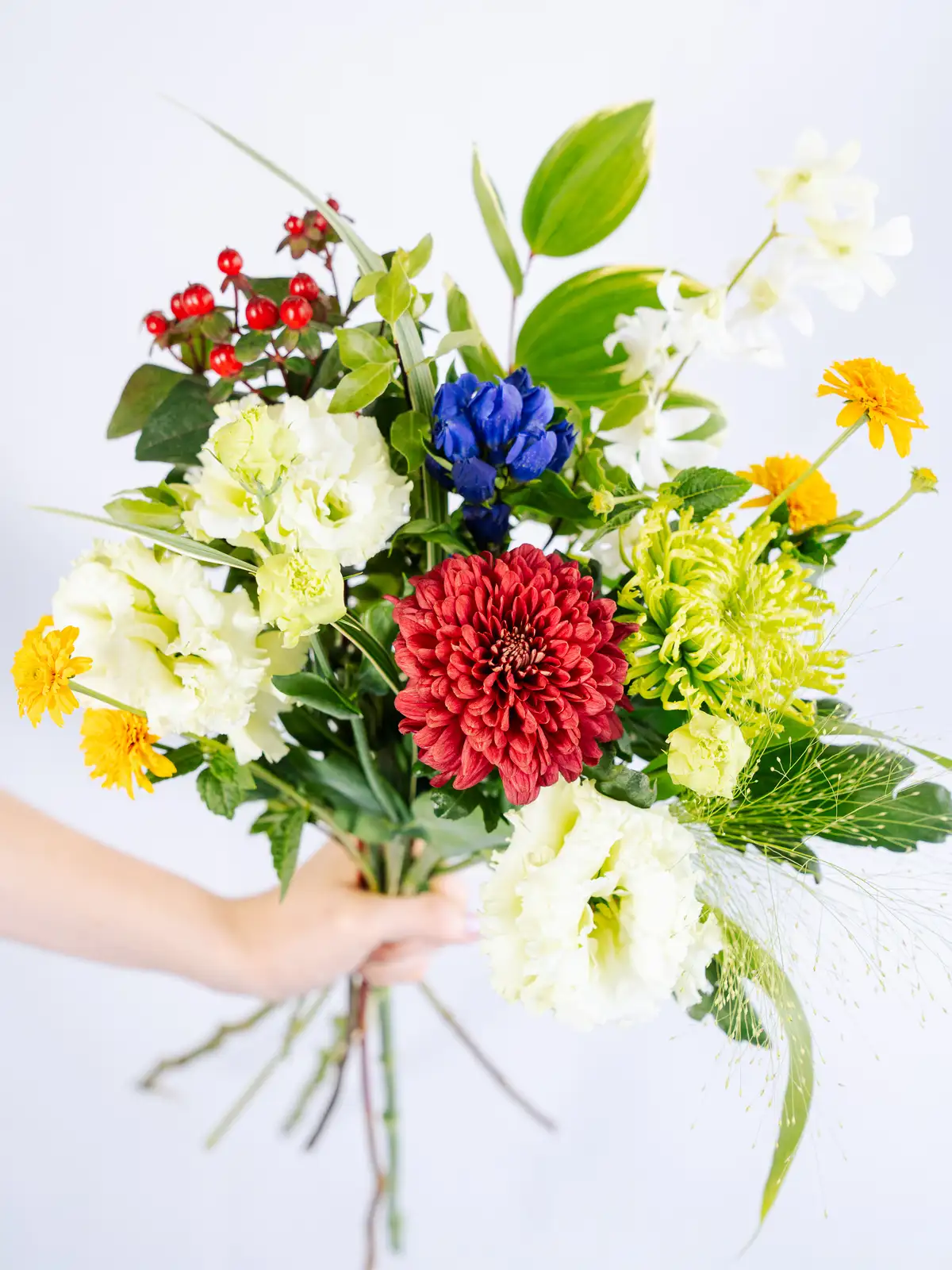 レモンリーフ（緑）おまかせ品種｜花の仕入れを簡単に。花材の卸通販