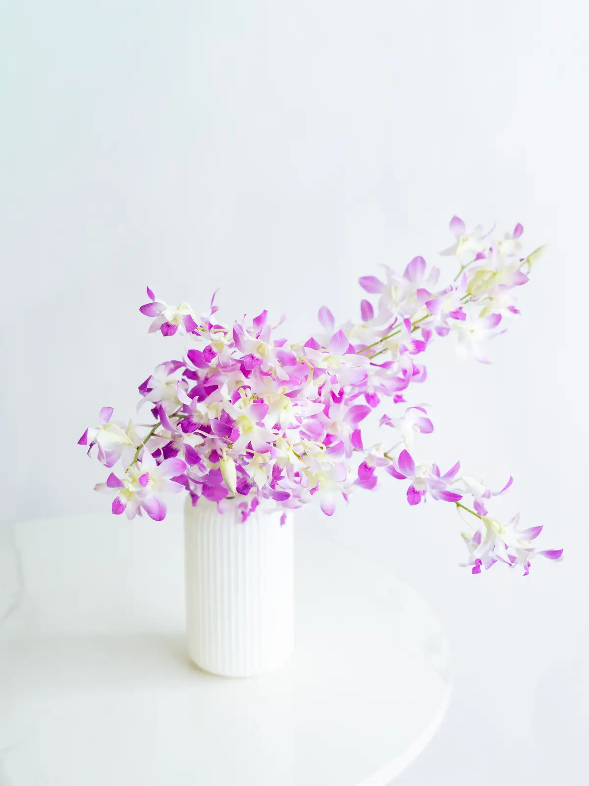 FELLER 花と蝶のブランケット ピンク 75cm ハイジ デンファレ（ピンク）ジャックハワイピンク｜花の仕入れを簡単に。花材
