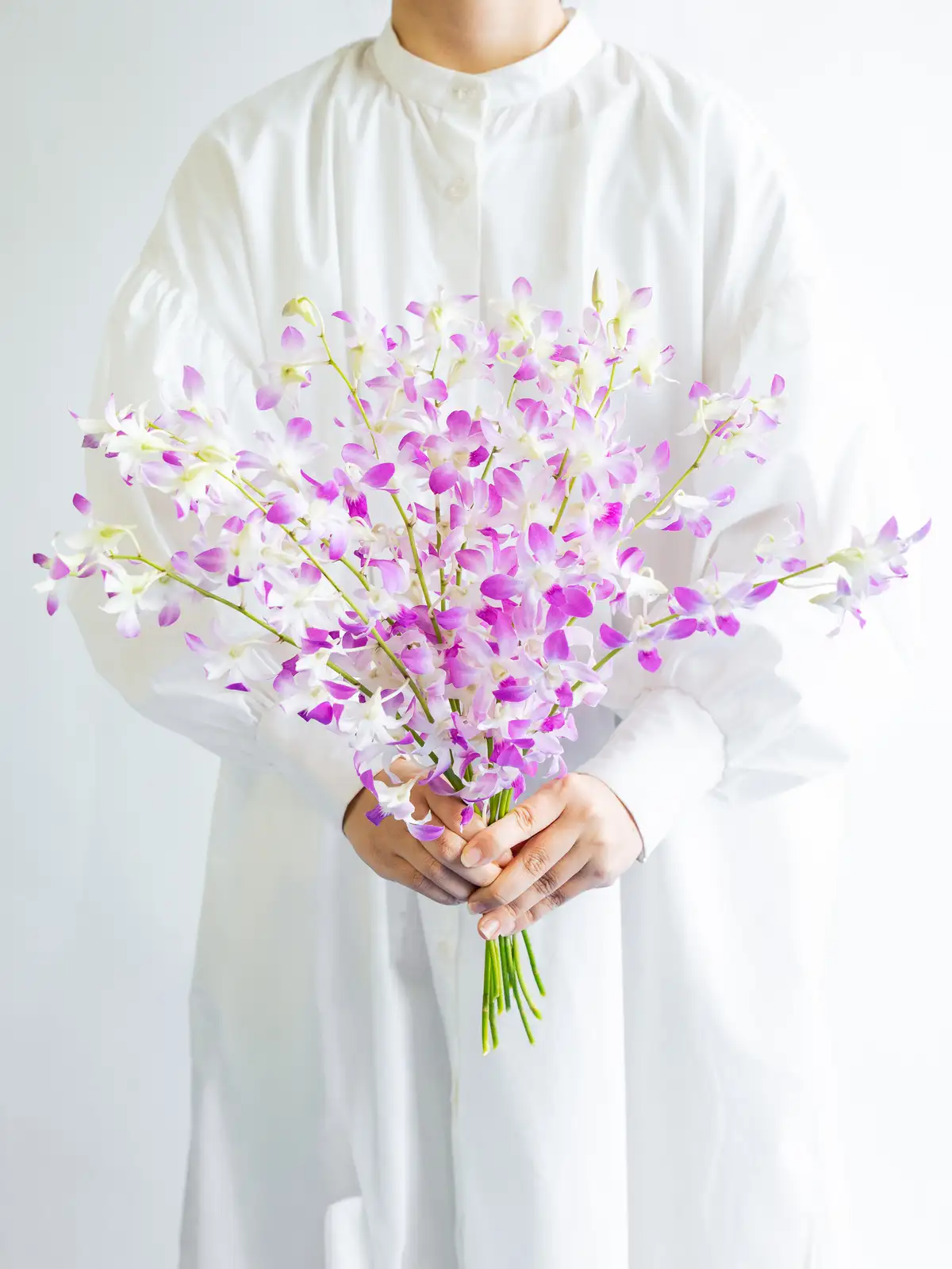 デンファレ（ピンク）ジャックハワイピンク｜花の仕入れを簡単に。花材