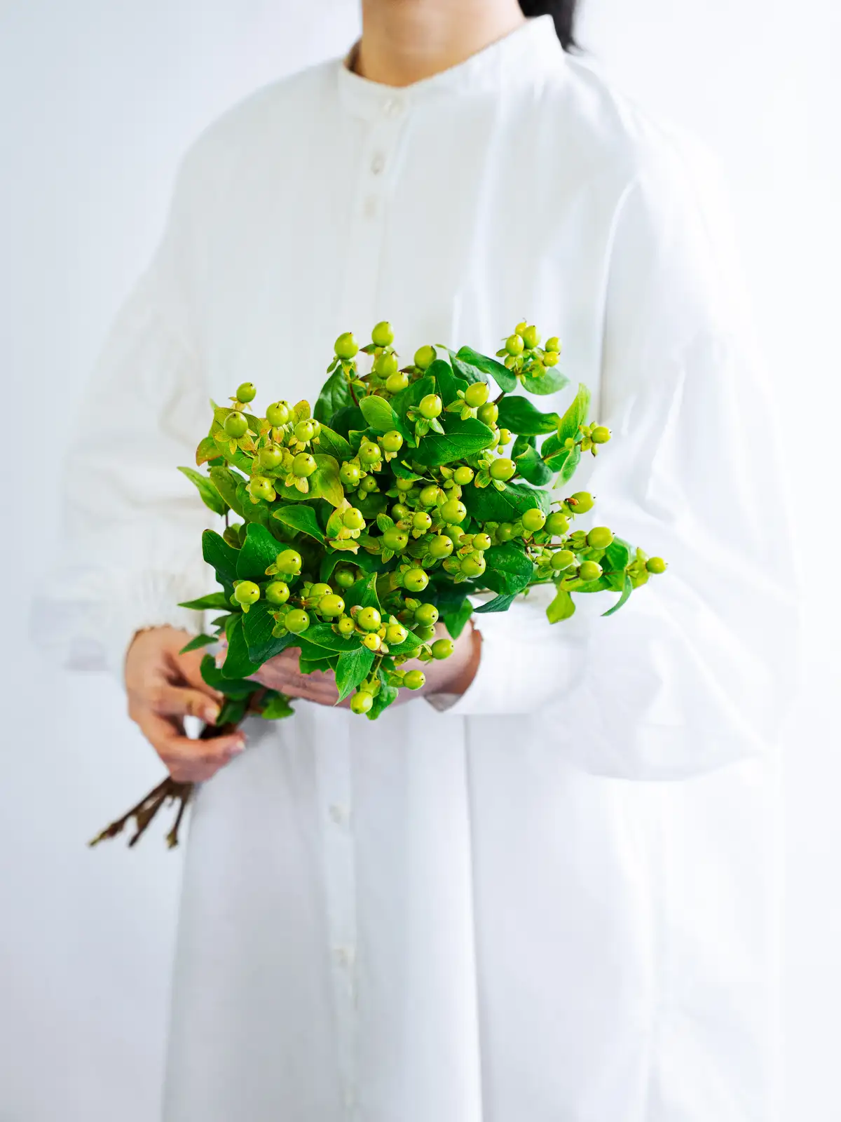 緑の実もの一覧｜花の仕入れを簡単に。花材の卸通販｜ハナイチ