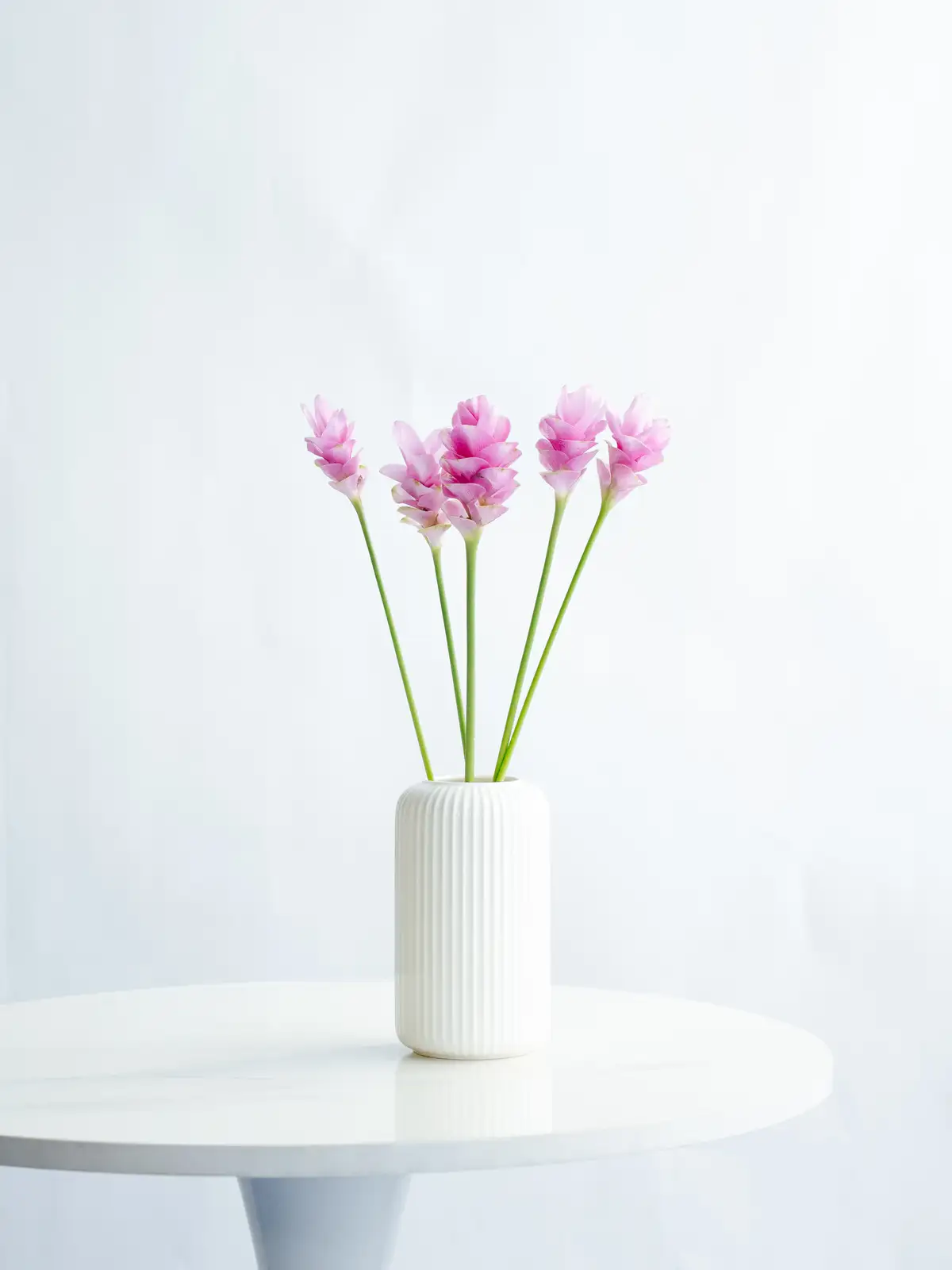 ハンドメイド くくり花1350個＋ビーズ付きくくり花300個 セット Amazon