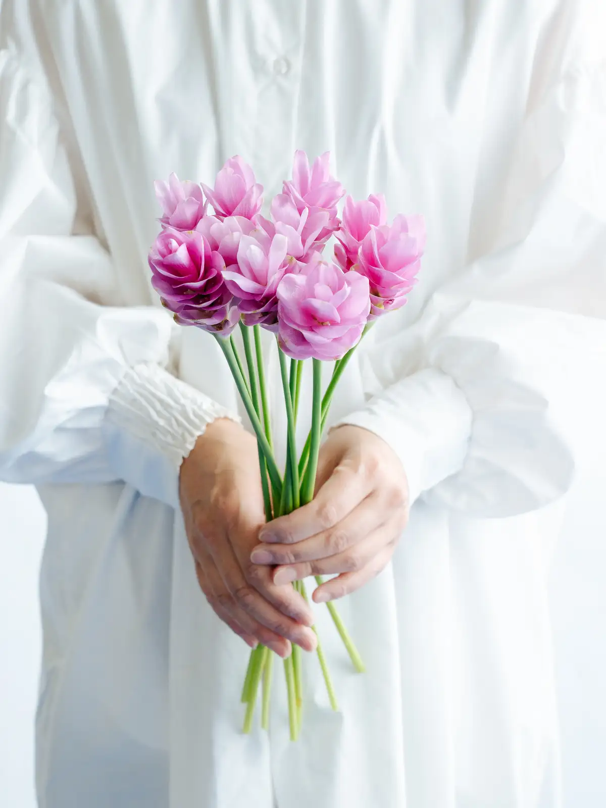 ピンクの花材一覧｜花の仕入れを簡単に。花材の卸通販｜ハナイチ