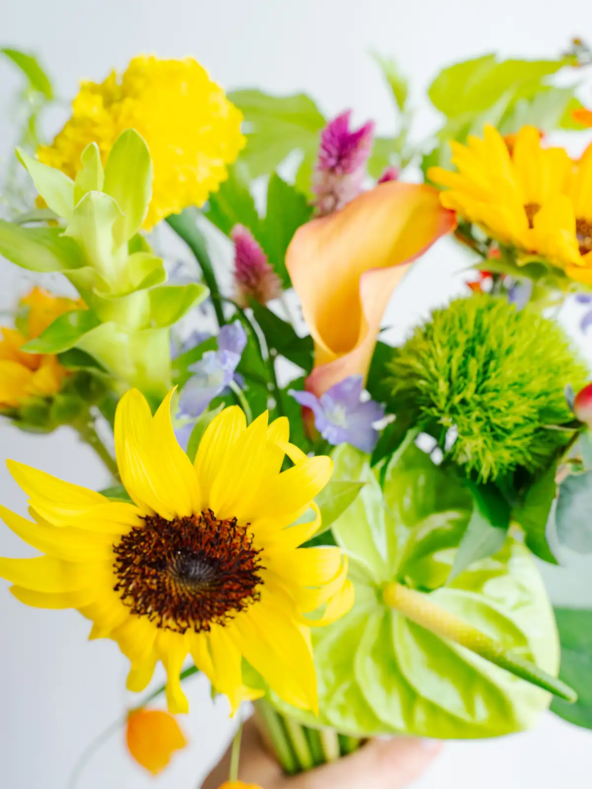 夏の花材セット｜花の仕入れを簡単に。花材の卸通販｜ハナイチ