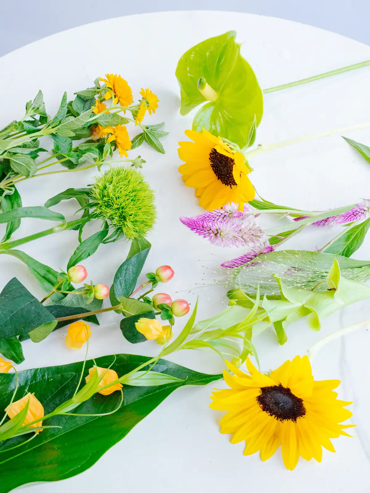 夏の花材セット｜花の仕入れを簡単に。花材の卸通販｜ハナイチ