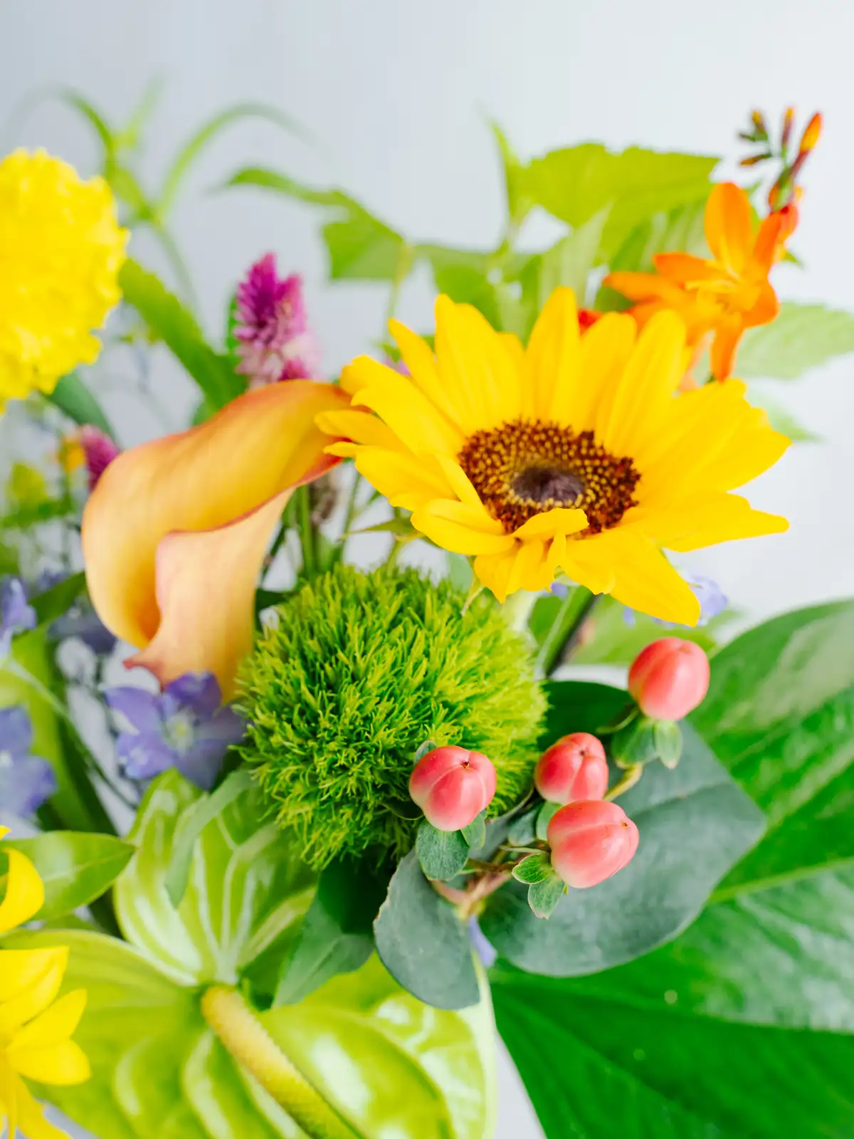 夏の花材セット｜花の仕入れを簡単に。花材の卸通販｜ハナイチ