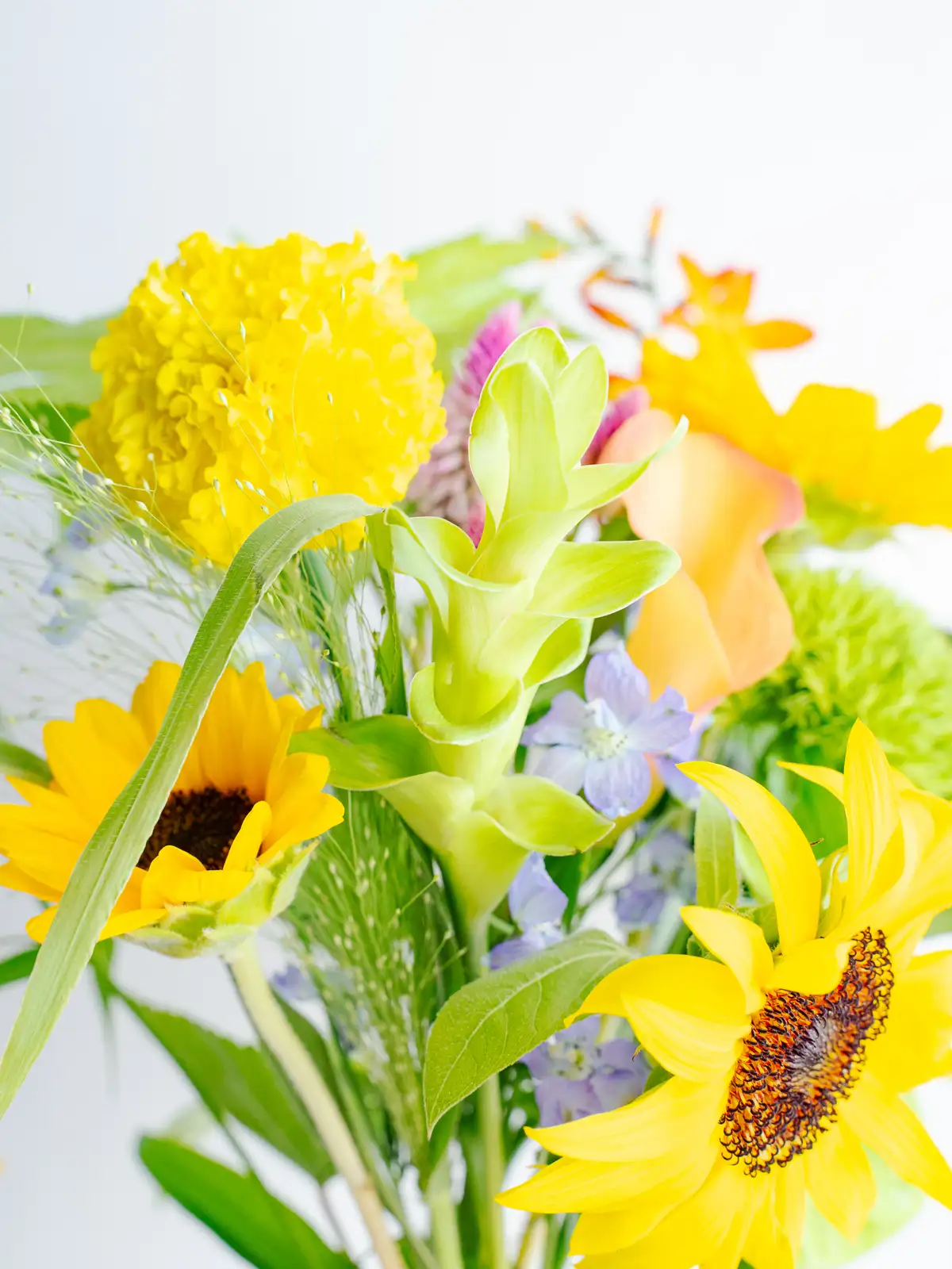 花材セット ブルー  Ｎｏ．608 夏の花材セット｜花の仕入れを簡単に。花材の卸通販｜ハナイチ