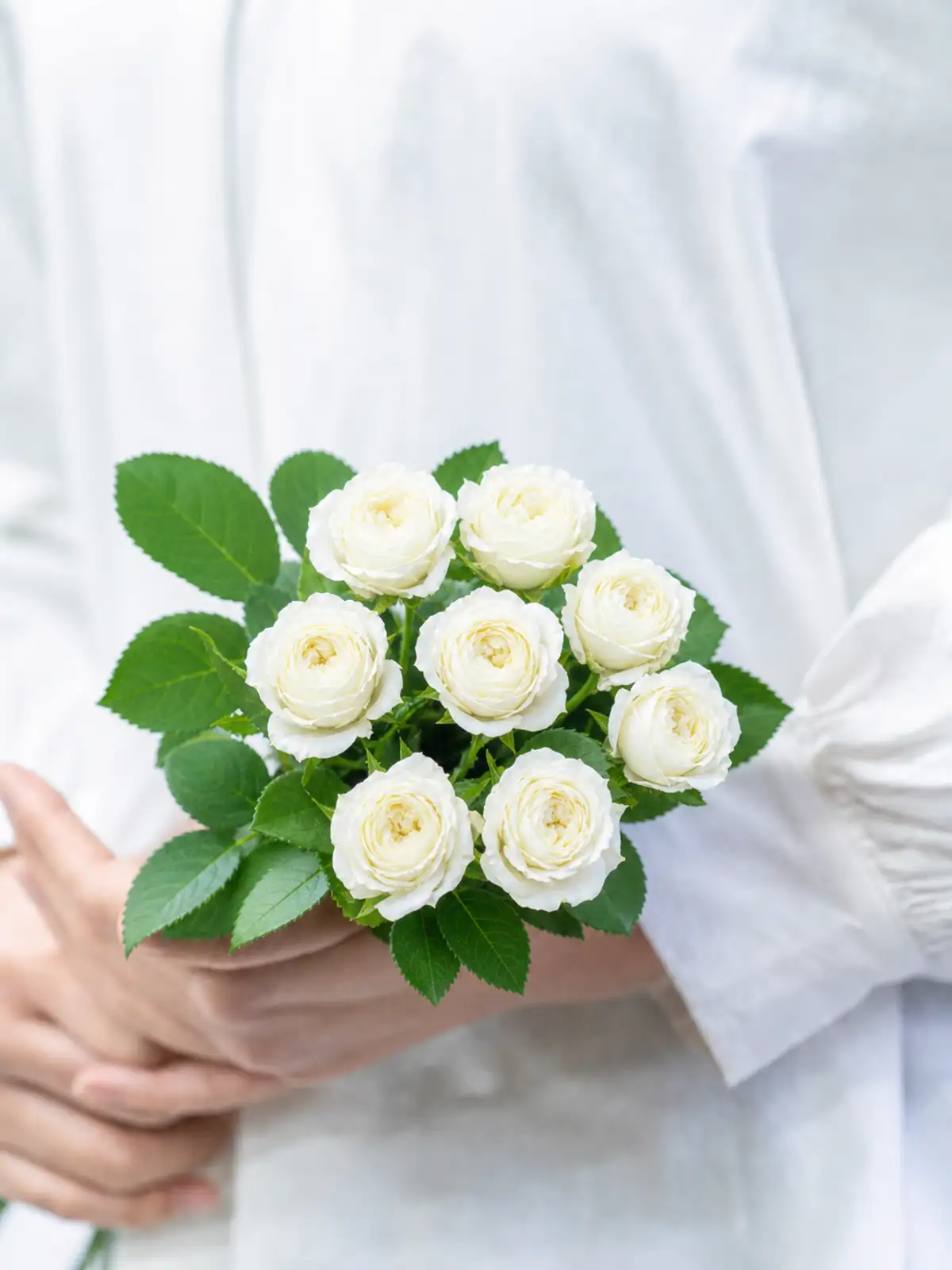 タイムセール】バラ （白）｜花の仕入れを簡単に。花材の卸通販｜ハナイチ