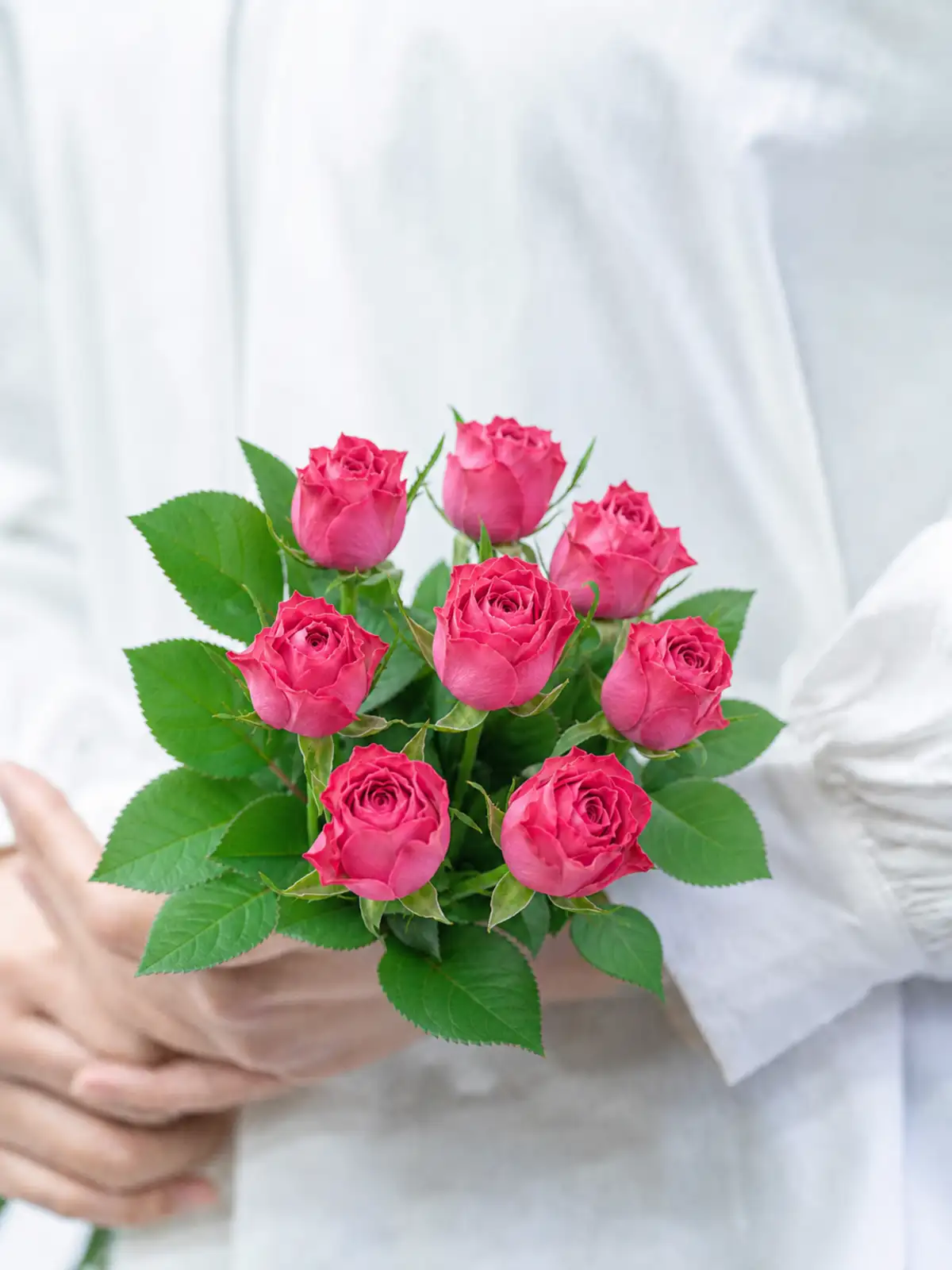 バラ （紫） ヤギパープル｜花の仕入れを簡単に。花材の卸通販｜ハナイチ