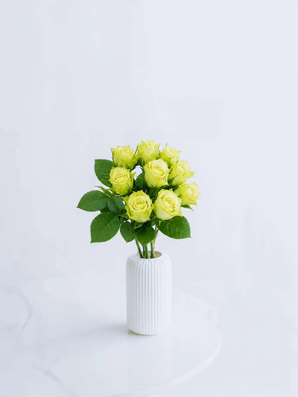 バラ（グリーン）ミントティー｜花の仕入れを簡単に。花材の卸通販