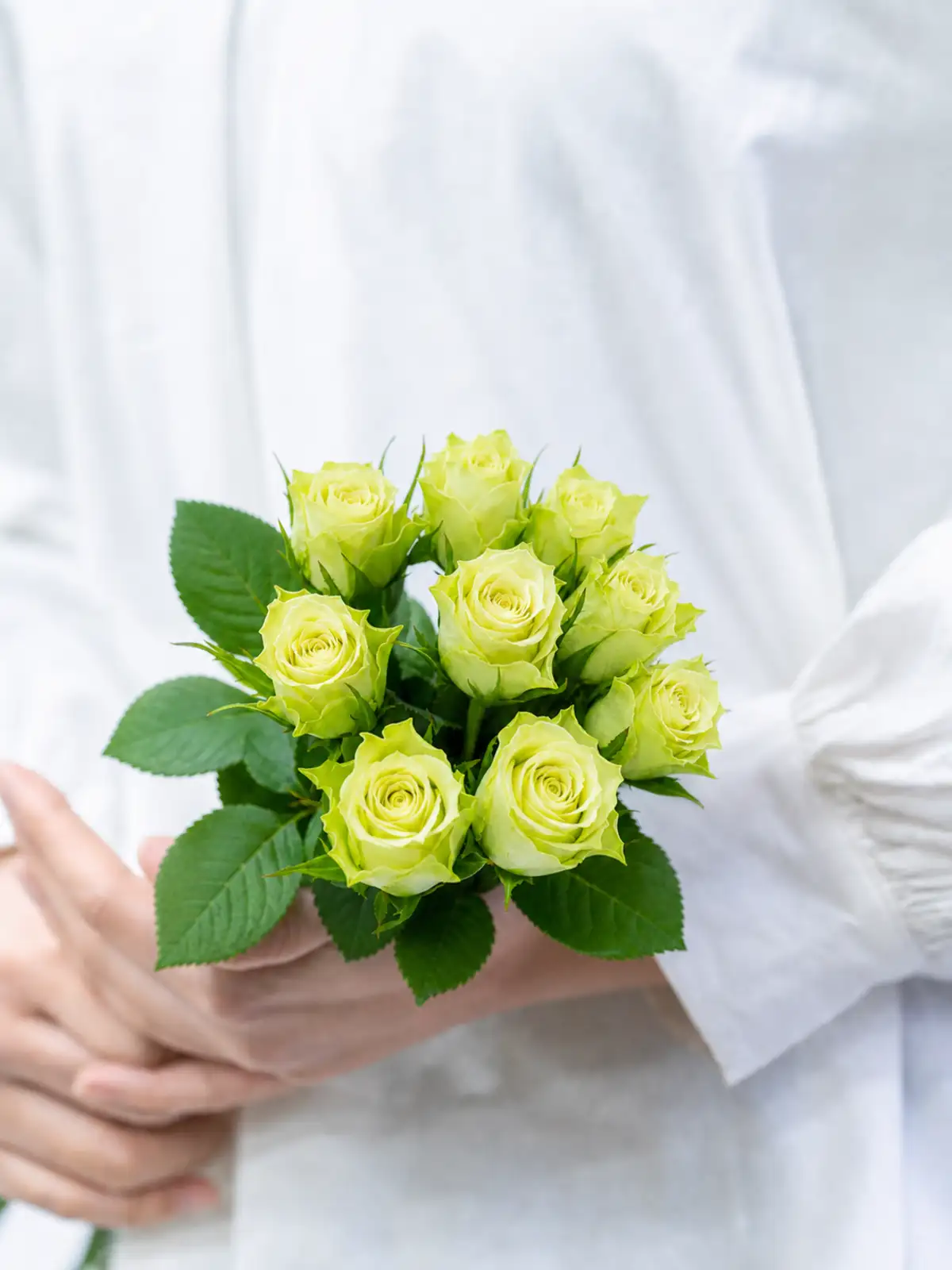 ミントグリーン　バラ　 14個 バラ（緑）ミントティー｜花の仕入れを簡単に。花材の卸通販｜ハナイチ