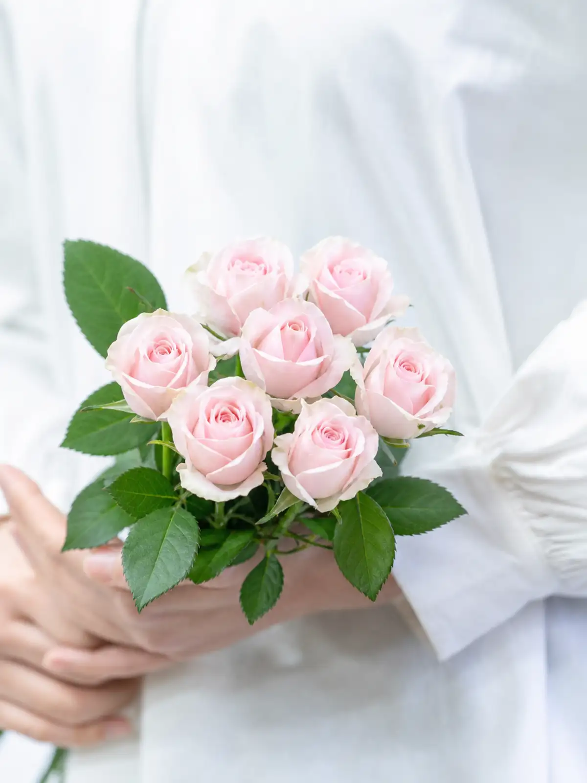 ピンクの花材一覧｜花の仕入れを簡単に。花材の卸通販｜ハナイチ