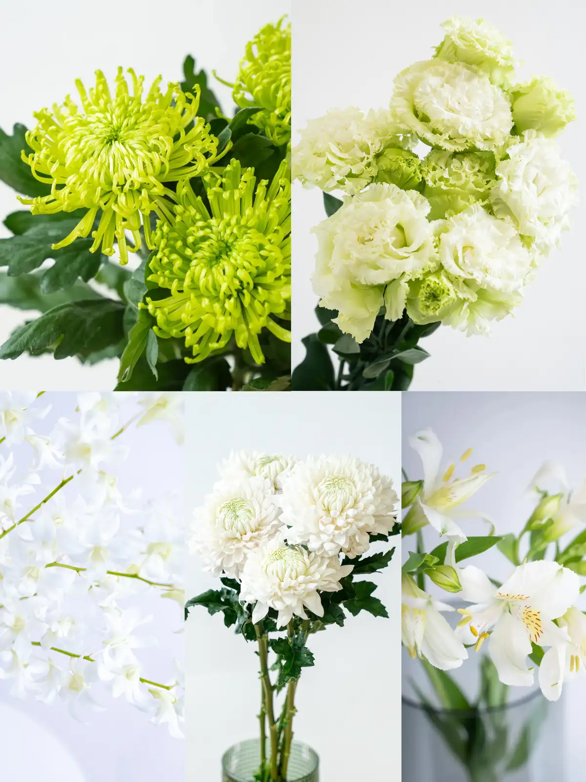 お盆の花材セット パープル&ホワイト｜花の仕入れを簡単に。花材の