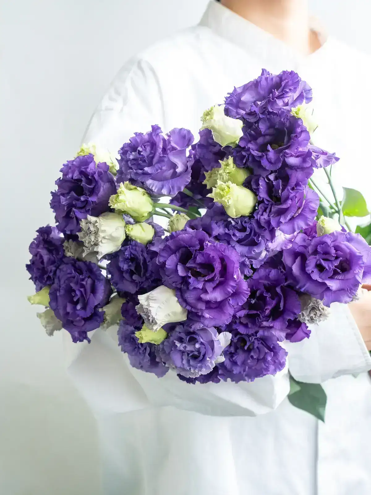 トルコキキョウ （紫） おまかせ品種｜花の仕入れを簡単に。花材の卸