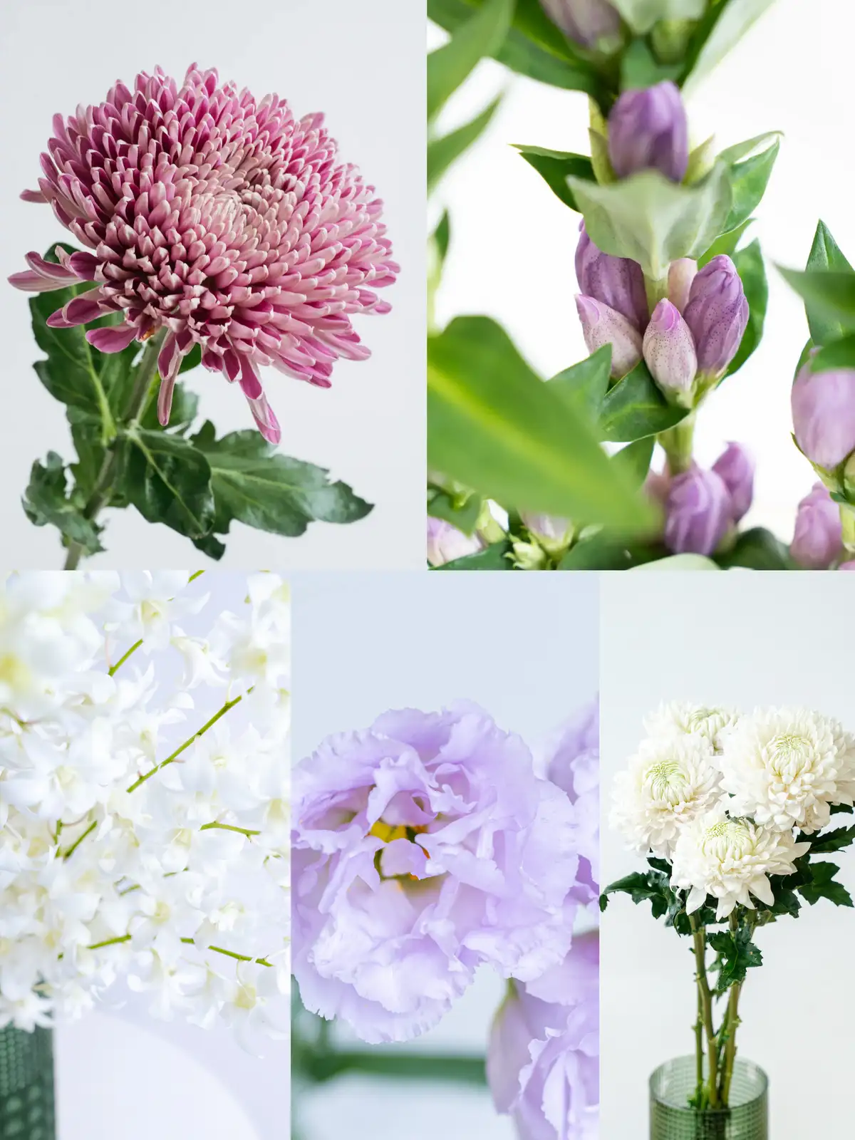花材セット パープル  Ｎｏ．400 お盆の花材セット パープル&ホワイト｜花の仕入れを簡単に。花材の