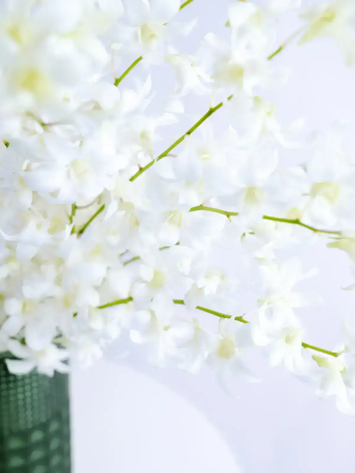 お盆の花材セット パープル&ホワイト｜花の仕入れを簡単に。花材の