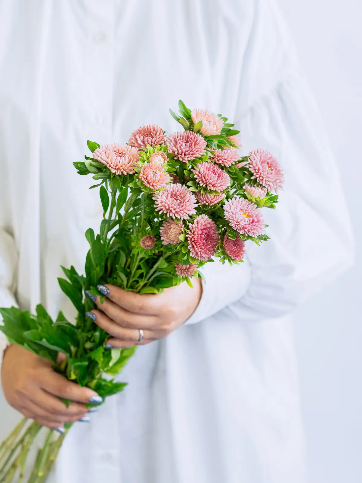 ロシアンオリーブ（緑）90cm｜花の仕入れを簡単に。花材の卸通販｜ハナイチ