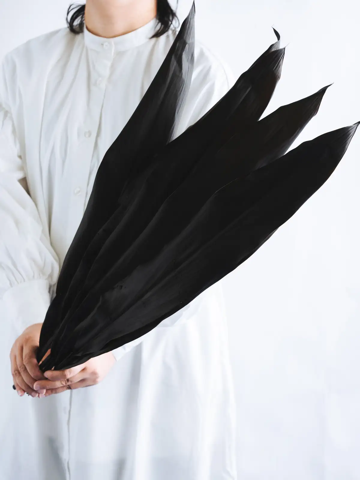 ドラセナ（黒）ブラックリーフ｜花の仕入れを簡単に。花材の卸通販