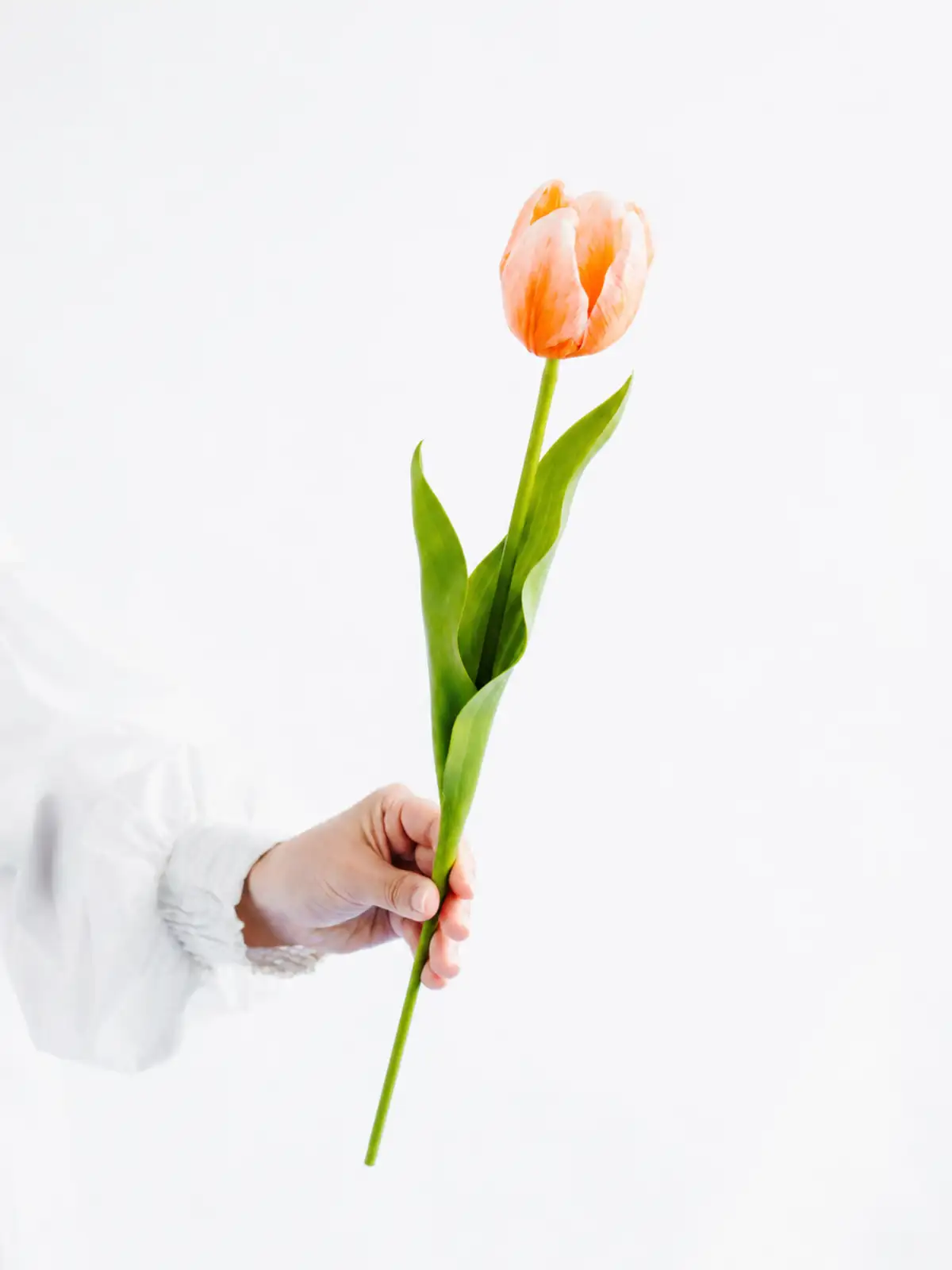 造花】チューリップ（ライトオレンジ）｜花の仕入れを簡単に。花材の卸