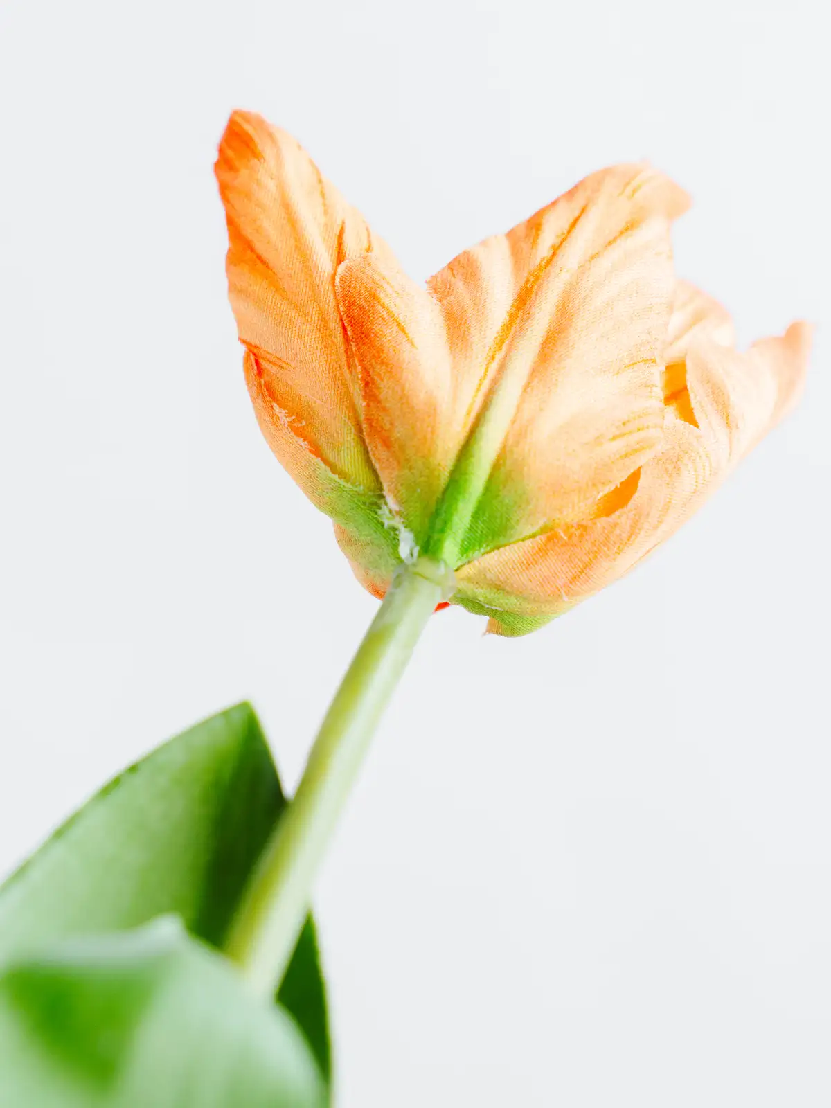 造花】チューリップ（ライトオレンジ）｜花の仕入れを簡単に。花材の卸
