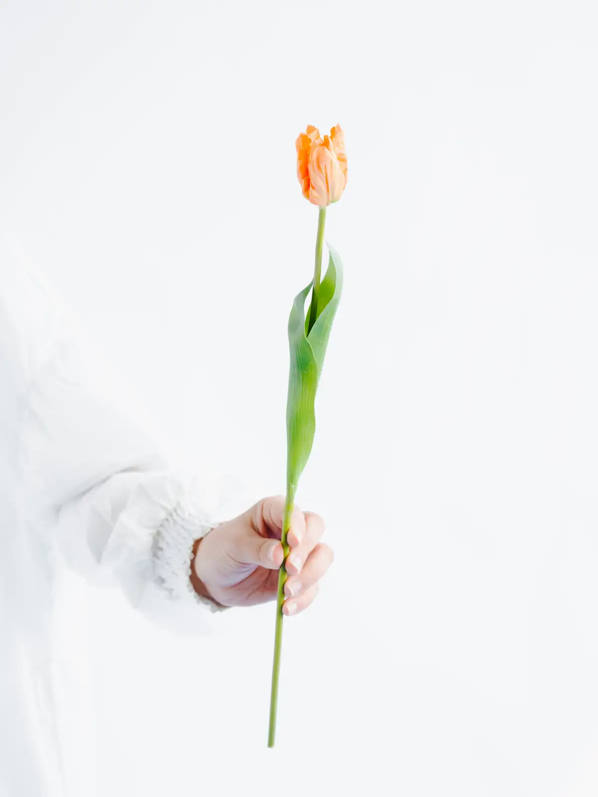 チューリップライト　オレンジ 造花】チューリップ（ライトオレンジ）｜花の仕入れを簡単に。花材の卸