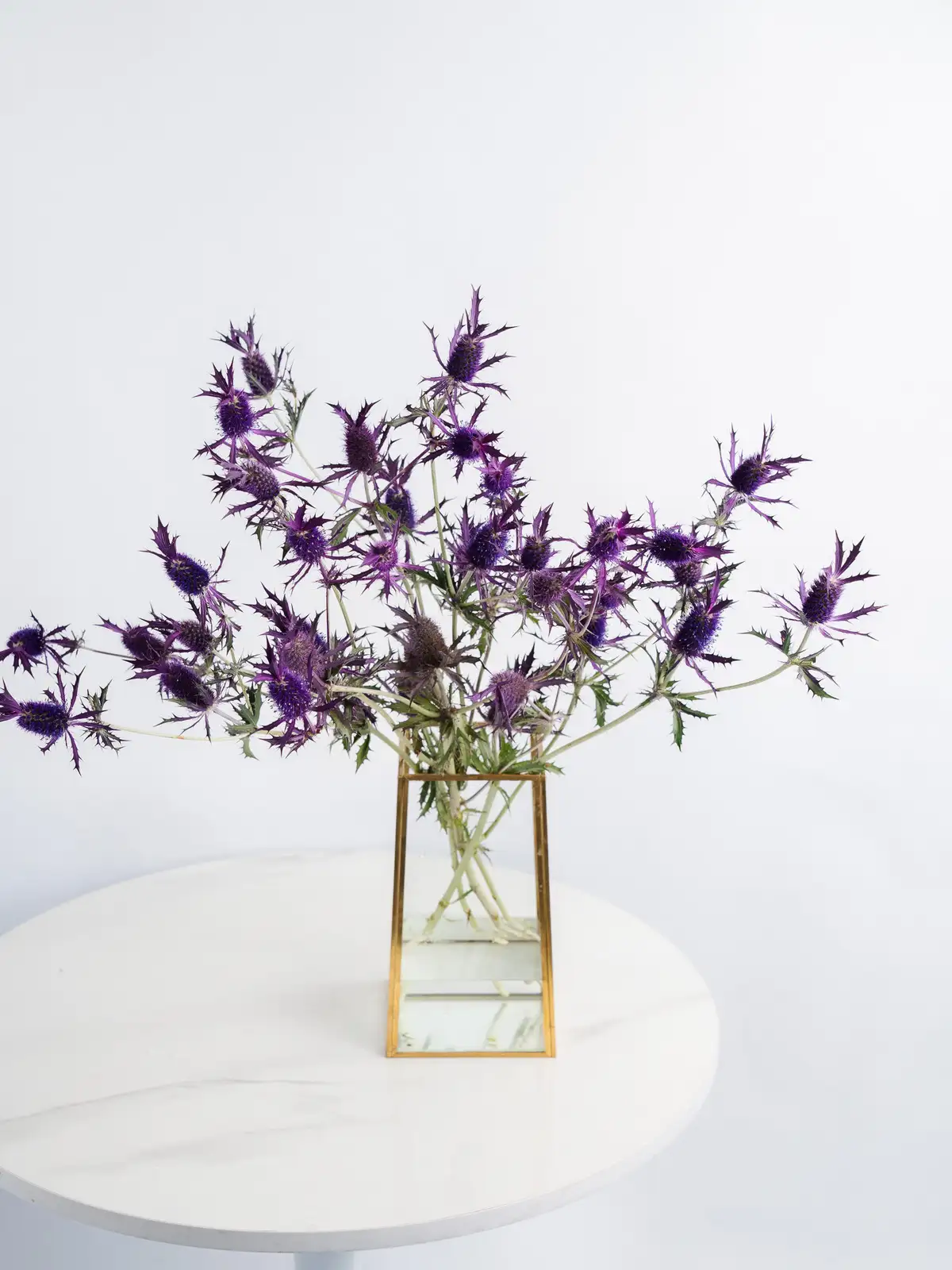 エリンジウム（紫）リーベンウォルシー｜花の仕入れを簡単に。花材の卸