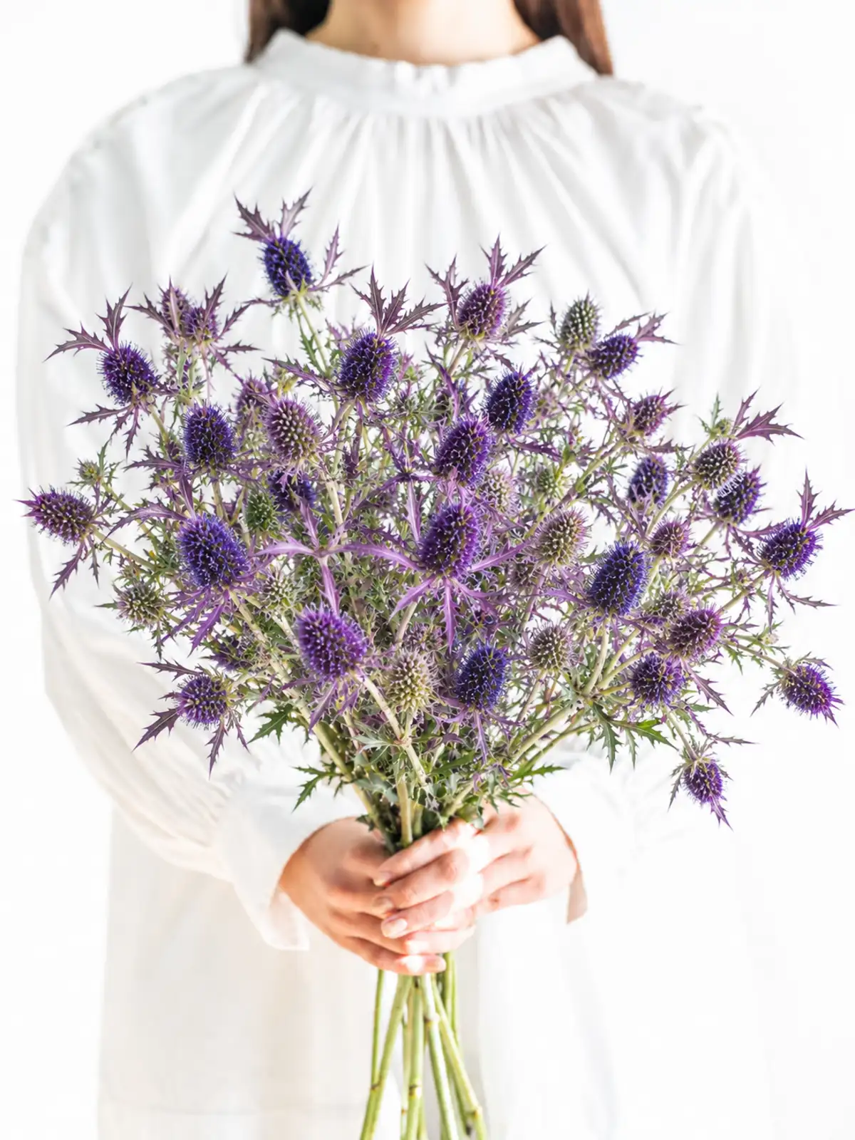 エリンジウム（紫）リーベンウォルシー｜花の仕入れを簡単に。花材の卸