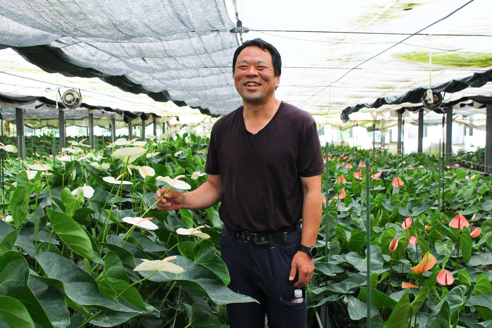 大佐和花卉園