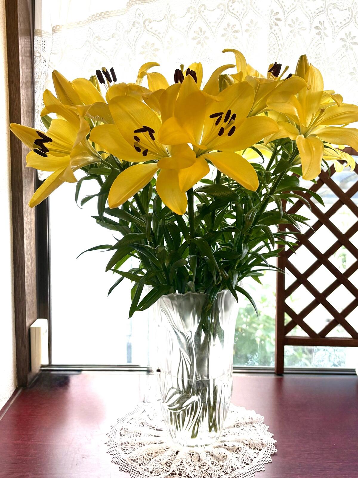 LAユリ（黄）おまかせ品種｜花の仕入れを簡単に。花材の卸通販｜ハナイチ