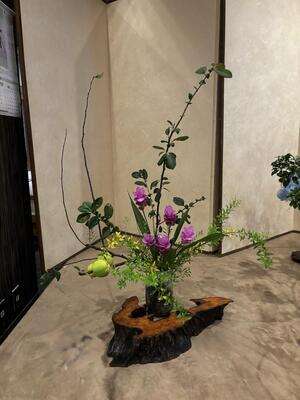 華展に使いたくて注文しました。色も綺麗で、この花を生かそうと思いました。